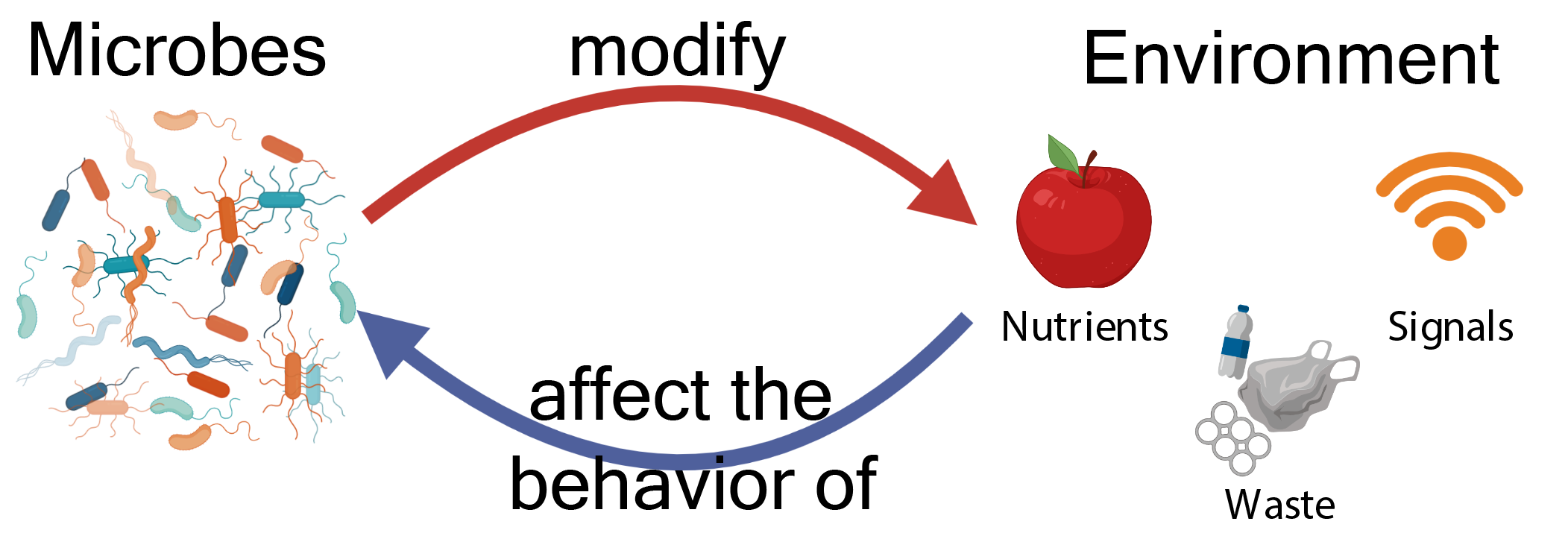 microbe interactions